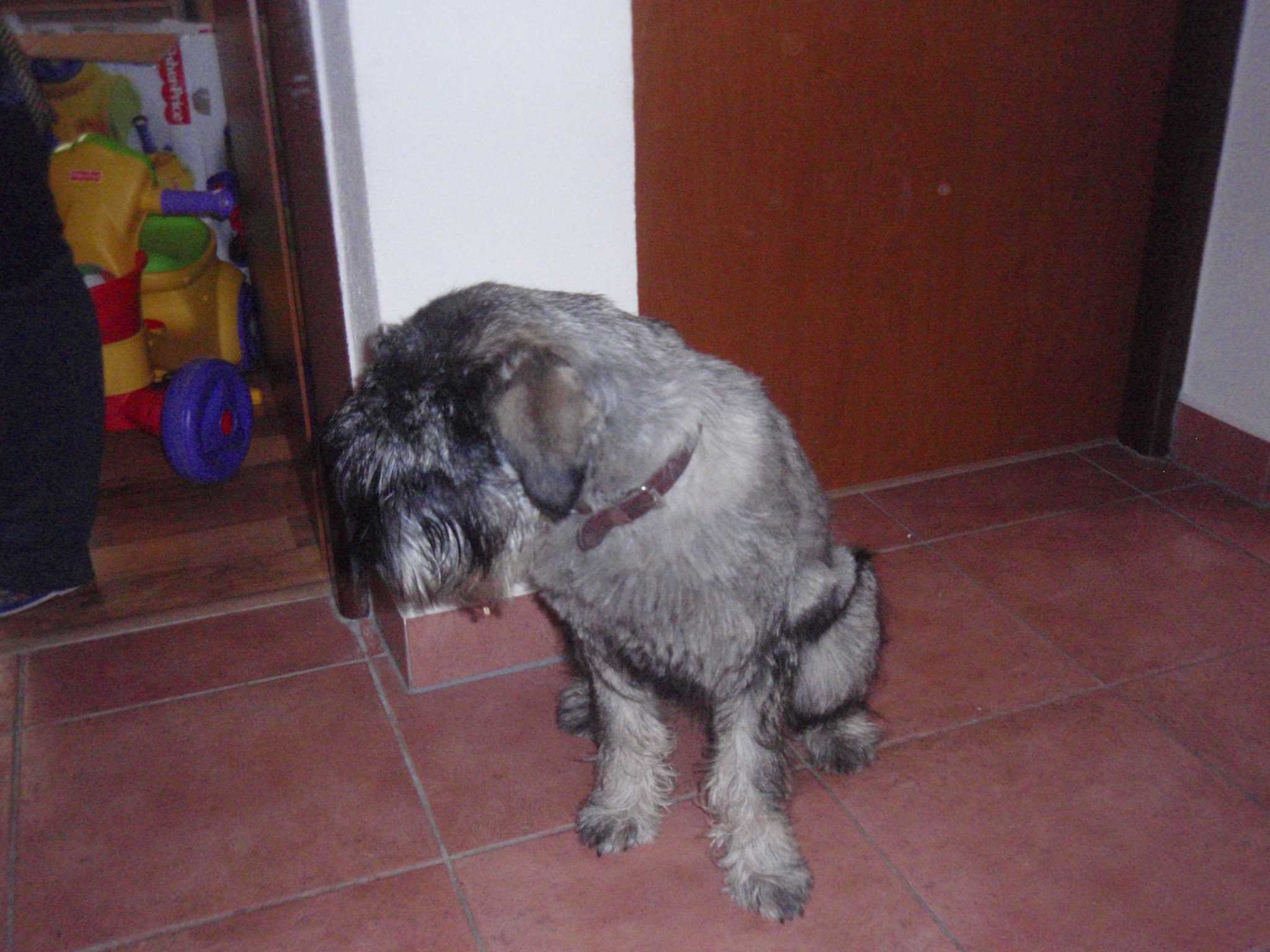 P1110537.JPG